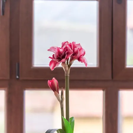 El Rincon De - Costa Y Rural, Llanes Andrin